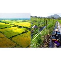 Đã nghỉ hưu có được nhận thừa kế đất nông nghiệp không?