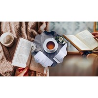 Đoạn văn tiếng Anh về sở thích đọc sách kèm từ vựng và bản dịch
