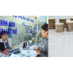 Có được chia thành nhiều lần nộp vi phạm hành chính không?