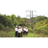 Quy định về thu tiền thuê đất của Hệ thống đường dây truyền tải điện
