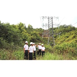 Quy định về thu tiền thuê đất của Hệ thống đường dây truyền tải điện