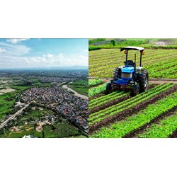 Thủ tục chuyển từ đất thuê sang đất giao làm như thế nào?