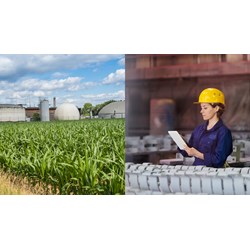 Xử phạt tổ chức bán 20 lít thuốc bảo vệ thực vật trong danh mục cấm?