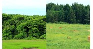 Cơ quan đầu mối quốc gia hướng dẫn thực hiện Công ước Ramsar?