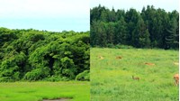 Cơ quan đầu mối quốc gia hướng dẫn thực hiện Công ước Ramsar?