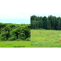Cơ quan đầu mối quốc gia hướng dẫn thực hiện Công ước Ramsar?