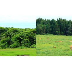 Cơ quan đầu mối quốc gia hướng dẫn thực hiện Công ước Ramsar?
