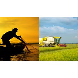 Hội đồng quản lý Quỹ Hỗ trợ phát triển sinh kế vì cộng đồng thuê người làm giám đốc?