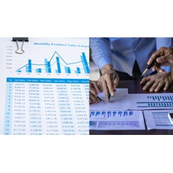 Công ty trách nhiệm hữu hạn có cần phải bố trí kế toán trưởng?