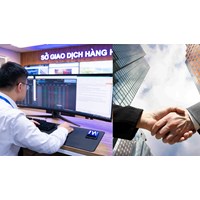 Điều lệ hoạt động Sở giao dịch hàng hóa
