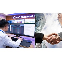 Điều lệ hoạt động Sở giao dịch hàng hóa