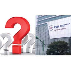 Khi nào Kiểm soát viên EVN có quyền chất vấn Tổng giám đốc EVN?