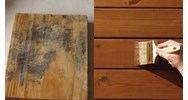 Thiết lập tủ thử nấm mốc gây hại trên bề mặt gỗ trong điều kiện phòng