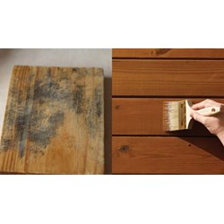 Thiết lập tủ thử nấm mốc gây hại trên bề mặt gỗ trong điều kiện phòng