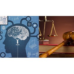 Quy định về việc kê biên, sử dụng, khai thác quyền sở hữu trí tuệ? Kê biên tài sản của pháp nhân thương mại đang cho thuê?