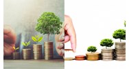 Chủ tổ chức tài chính vi mô dùng vốn huy động góp vốn vào tổ chức?