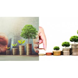 Chủ tổ chức tài chính vi mô dùng vốn huy động góp vốn vào tổ chức?