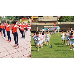 Thẩm quyền đình chỉ hoạt động trường năng khiếu vi phạm pháp luật