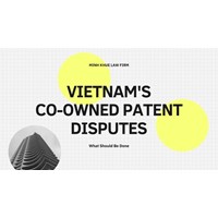 What Should Be Done in a Vietnam's Co-owned Patent Disputes?