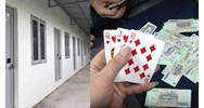 Chủ nhà trọ có bị phạt khi cho người thuê nhà đánh bạc hay không?