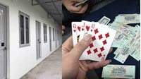Chủ nhà trọ có bị phạt khi cho người thuê nhà đánh bạc hay không?