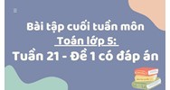 Bài tập cuối tuần môn Toán lớp 5: Tuần 21 - Đề 1 có đáp án