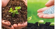 Phải có phòng thử nghiệm đánh giá chỉ tiêu chất lượng phân bón?
