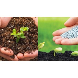 Phải có phòng thử nghiệm đánh giá chỉ tiêu chất lượng phân bón?
