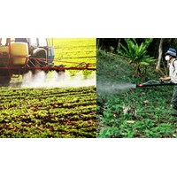 Xử lý việc mua thuốc bảo vệ thực vật bị cấm lưu hành và đang vận chuyển về