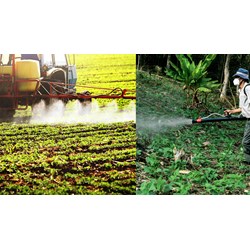 Xử lý việc mua thuốc bảo vệ thực vật bị cấm lưu hành và đang vận chuyển về