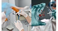 Phương pháp thử với cấy ghép vật liệu sinh học dự định sử dụng