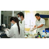 Chuyên viên về bổ trợ tư pháp thực hiện công việc gì liên quan giám định tư pháp