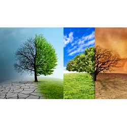 Đề xuất hoạt động lồng ghép nội dung ứng phó với biến đổi khí hậu