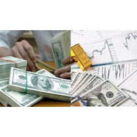 Ngoại tệ tự do chuyển đổi dùng thanh toán trong giao dịch vãng lai?