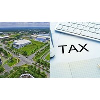Quy định về thời hạn nộp giấy đề nghị gia hạn nộp thuế, tiền thuê đất