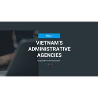 Vietnam's administrative agencies responsible for IP enforcement