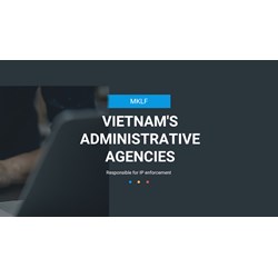Vietnam's administrative agencies responsible for IP enforcement