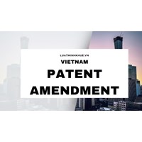 Vietnam Patent Specification Amendment: Applicants' Best Practice