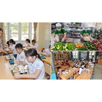 Điều kiện về đảm bảo an toàn thực phẩm trong trường học