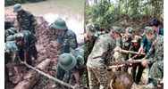Quỹ hỗ trợ khắc phục hậu quả bom mìn sau chiến tranh được nhận đóng góp?