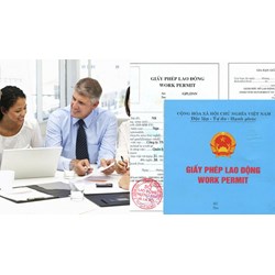 Các trường hợp bị thu hồi Giấy phép lao động theo quy định?