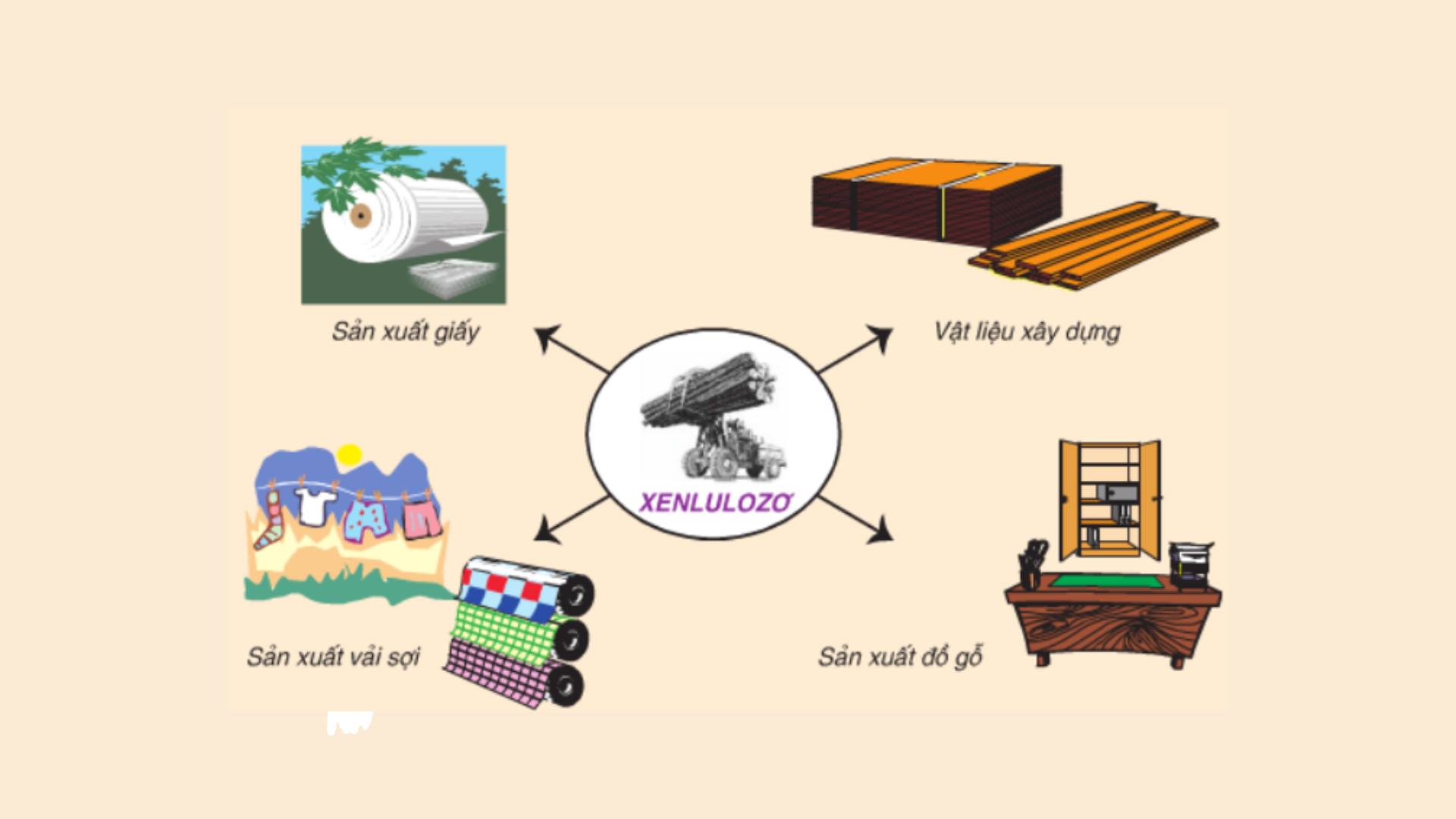 Xenlulozơ + HNO3 đặc | (C6H10O5)n + nHNO3 (đặc) → (C6H7O2(ONO)3)n + nH2O