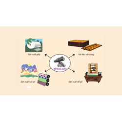 Xenlulozơ + HNO3 đặc | (C6H10O5)n + nHNO3 (đặc) → (C6H7O2(ONO)3)n + nH2O