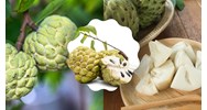 Tả quả na chọn lọc hay nhất, đạt điểm cao - Tập làm văn lớp 5