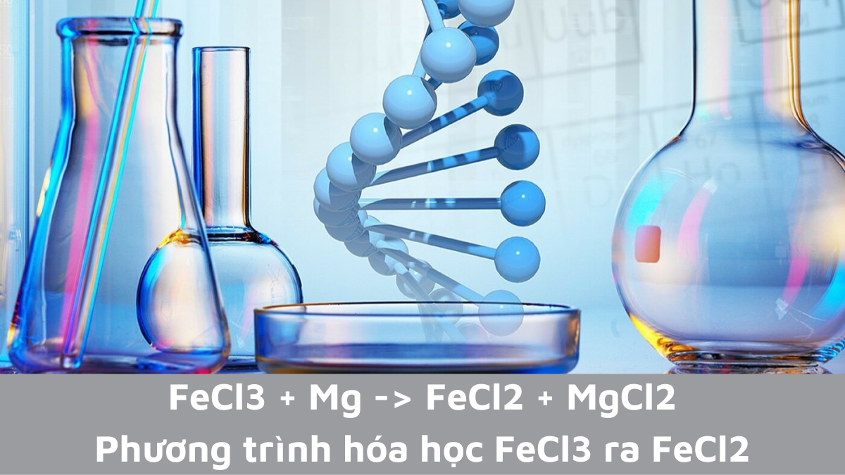 FeCl3 + Mg → FeCl2 + MgCl2 | Phương trình hoá học FeCl3 ra FeCl2