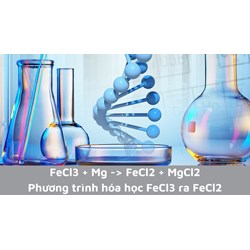 FeCl3 + Mg → FeCl2 + MgCl2 | Phương trình hoá học FeCl3 ra FeCl2