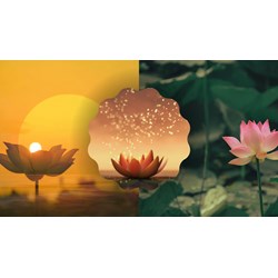 Tóm tắt Trăng sáng trên đầm sen ngắn gọn, hay nhất - Ngữ văn 11