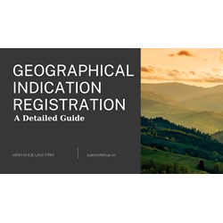 Geographical Indication Registration Service in Vietnam: A Guide