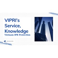 Vietnam IPR Protection: Overview of VIPRI's Service and Knowledge