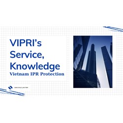 Vietnam IPR Protection: Overview of VIPRI's Service and Knowledge